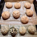Frische Vollkörnbrötchen