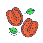 20240206 155621 00003873446683736136810 Getrocknete Tomaten